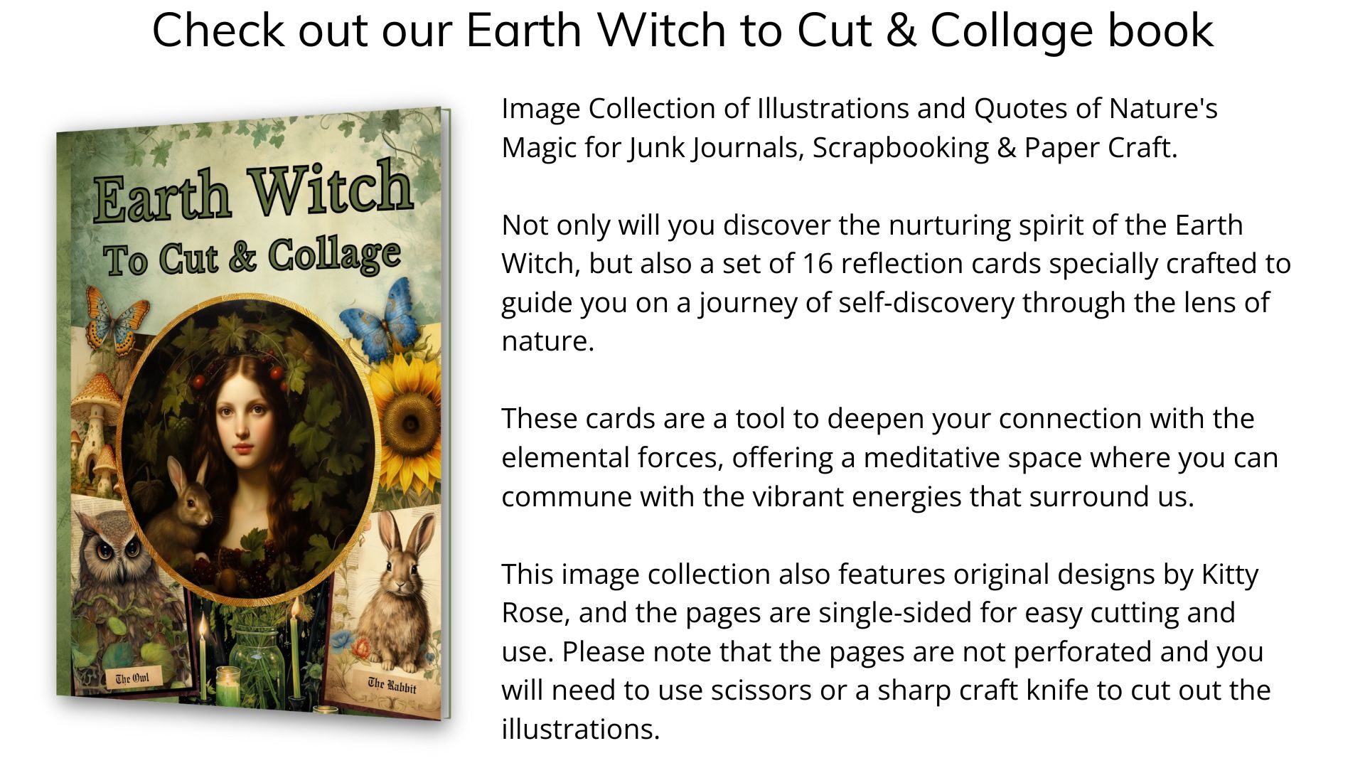 Check out our Earh Witch to Cut & Collage book (3)